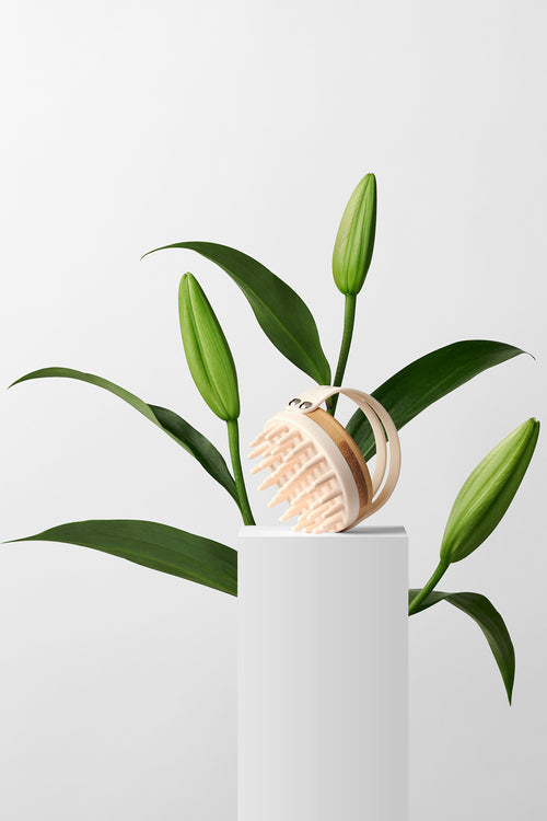 The Hair Edit Scalp Renew Bamboo and silicone shampoo massage brush on a white pedestal with plants