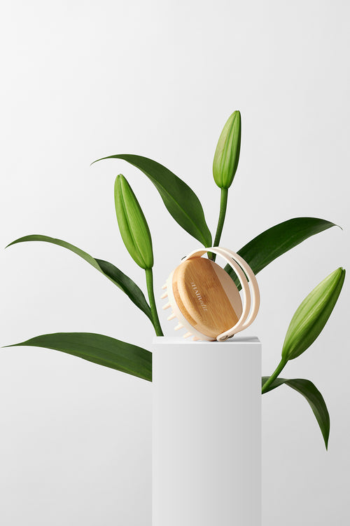 The Hair Edit Scalp Renew Bamboo and silicone shampoo massage brush on a white pedestal with plants